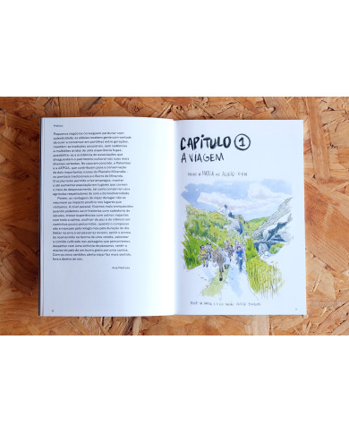 Nordeste Burriqueiro - Notas de viagem