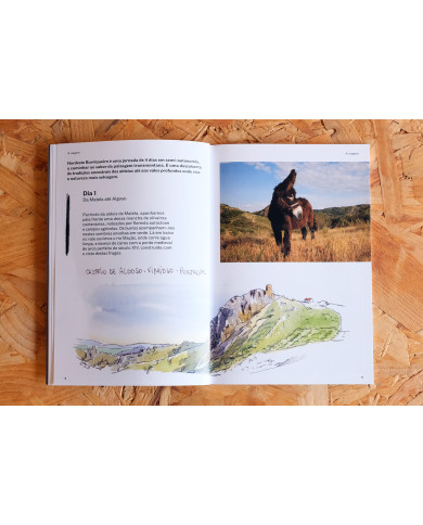 Nordeste Burriqueiro - Notas de viagem