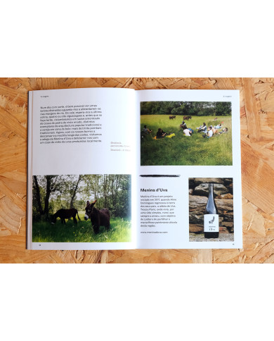 Nordeste Burriqueiro - Notas de viagem