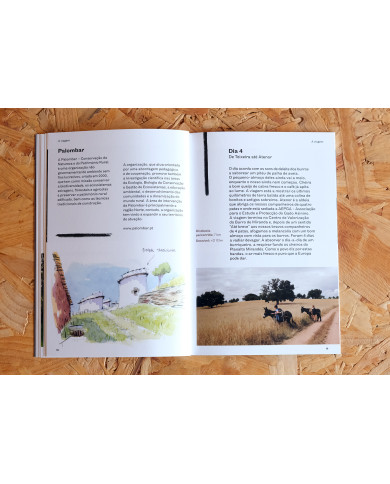 Nordeste Burriqueiro - Notas de viagem