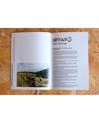 Nordeste Burriqueiro - Notas de viagem