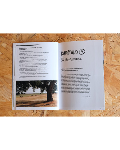 Nordeste Burriqueiro - Notas de viagem