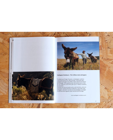 Nordeste Burriqueiro - Notas de viagem