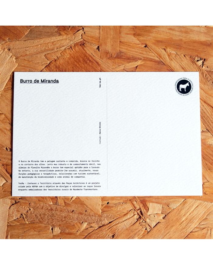 Postal: Burro de Miranda