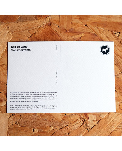 Postal: Cão de Gado Transmontano