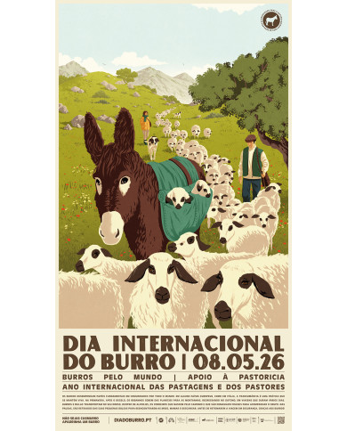 Dia Internacional do Burro 2026