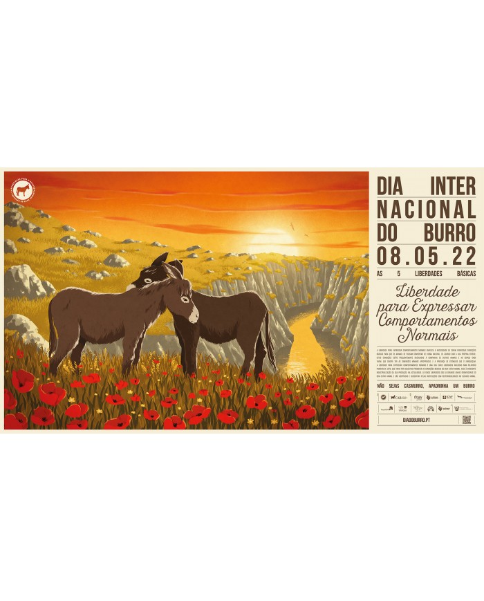 Dia Internacional do Burro 2022