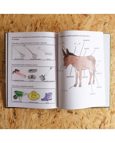 As Aventuras do Super Burro - Um livro para mostrar do que somos capazes!