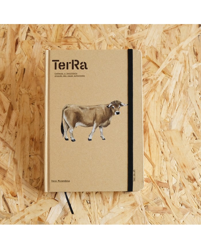 Caderno TeRa: Vaca Mirandesa