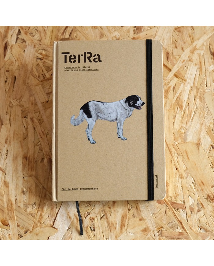 Caderno TeRa: Cão de Gado Transmontano
